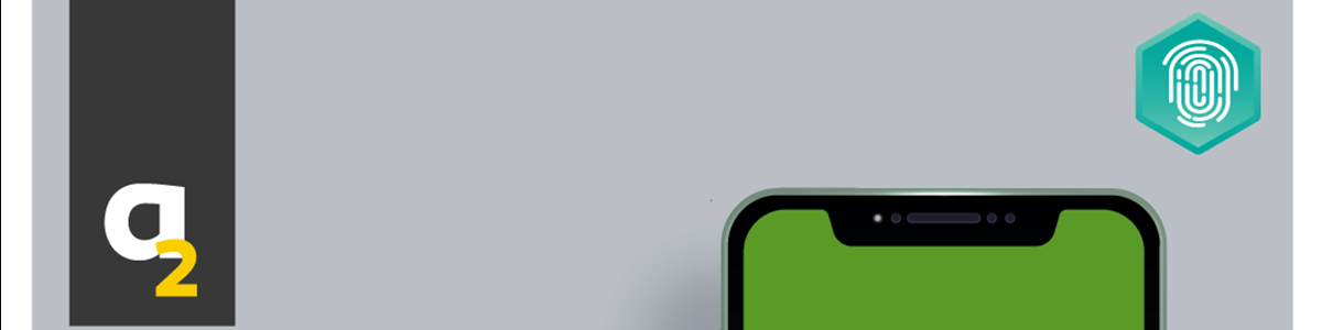 CA Seguros APP developed by DXS