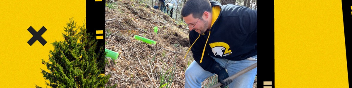 Organizámos uma iniciativa de plantação de árvores!