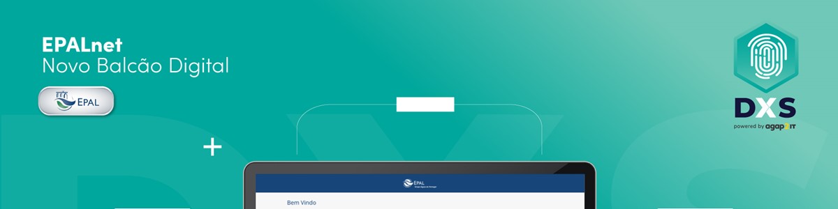 DXS implementa Balcão Único EPALnet