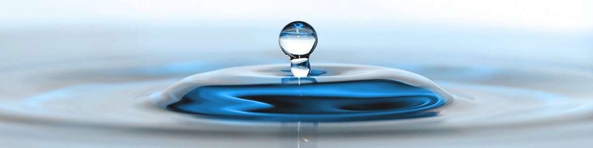 EPAL.NET – Balcão Único