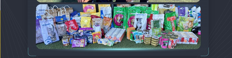 Equipa ajuda LPDA - Liga Portuguesa dos Direitos dos Animais