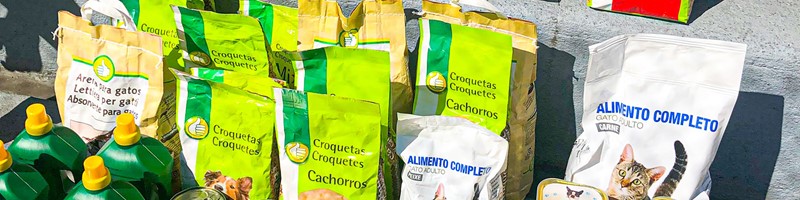 HiQ Solidarity Football Tournament Helps União Zoofila