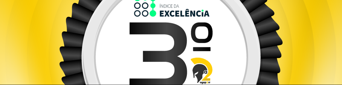 Terceiro lugar na categoria Grandes Empresas do Índice da Excelência